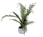 Boston Faux Fern