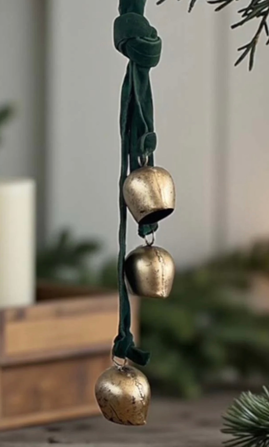 Trio of Cow Bells