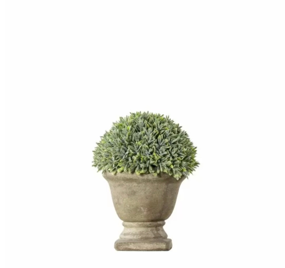 Boxwood Urn