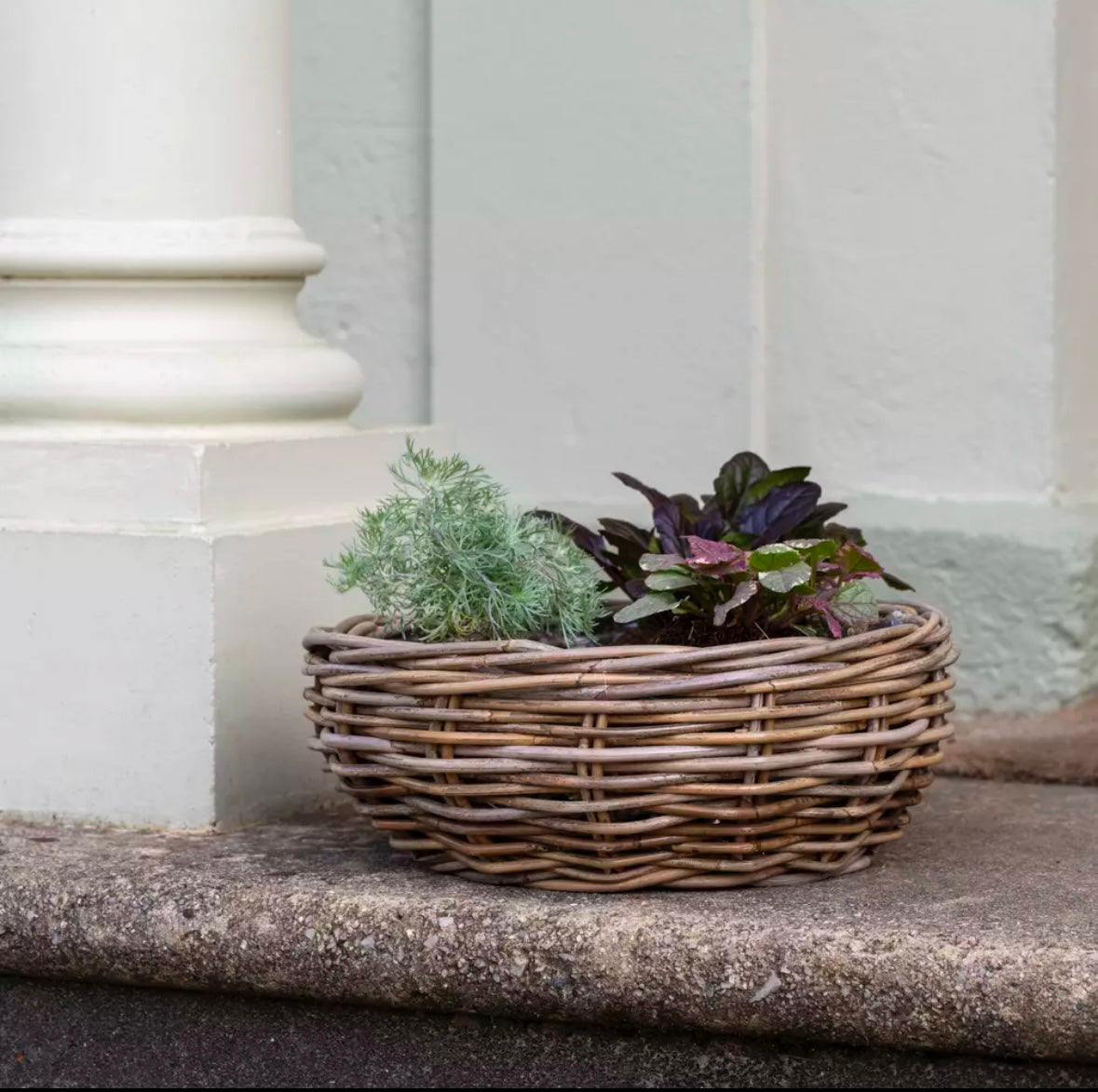 Kubu Planter Large