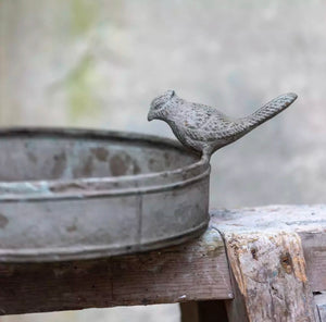 Bird Bath