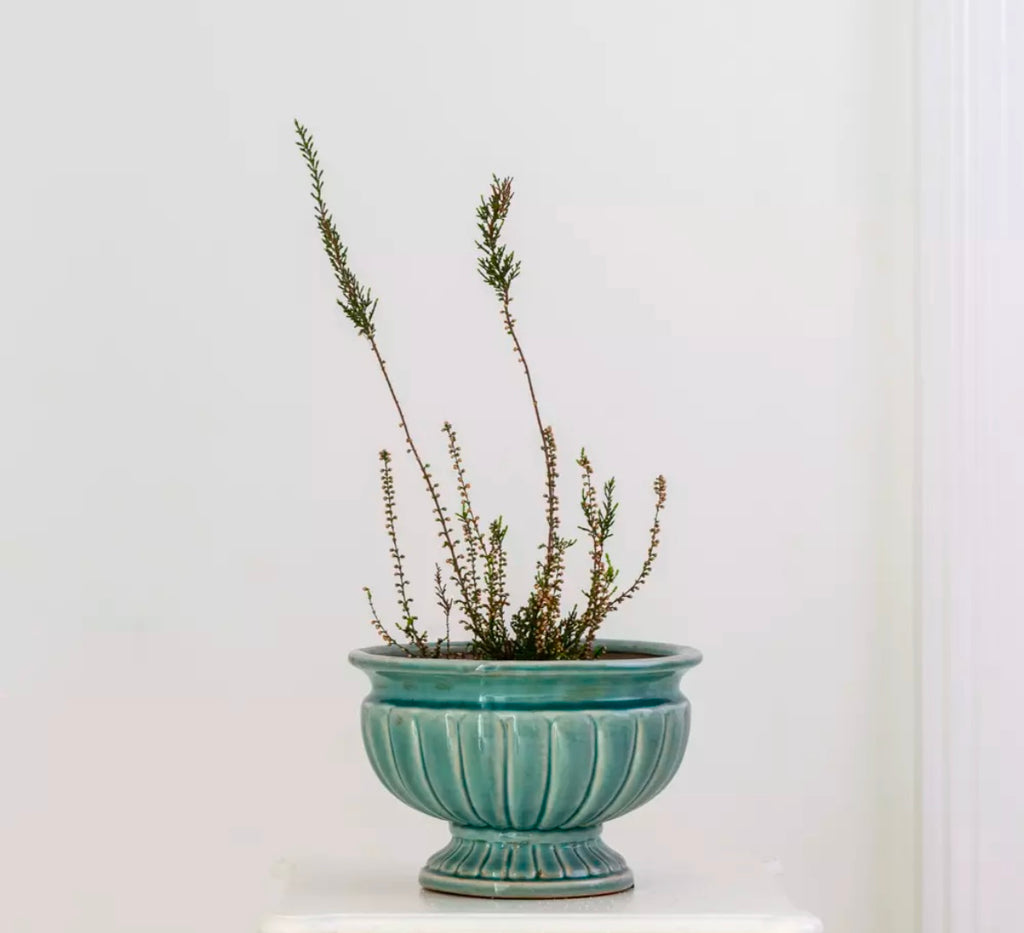 Sea Green Planter