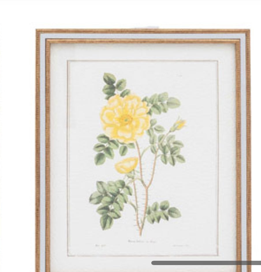 Floral set of 4 Art