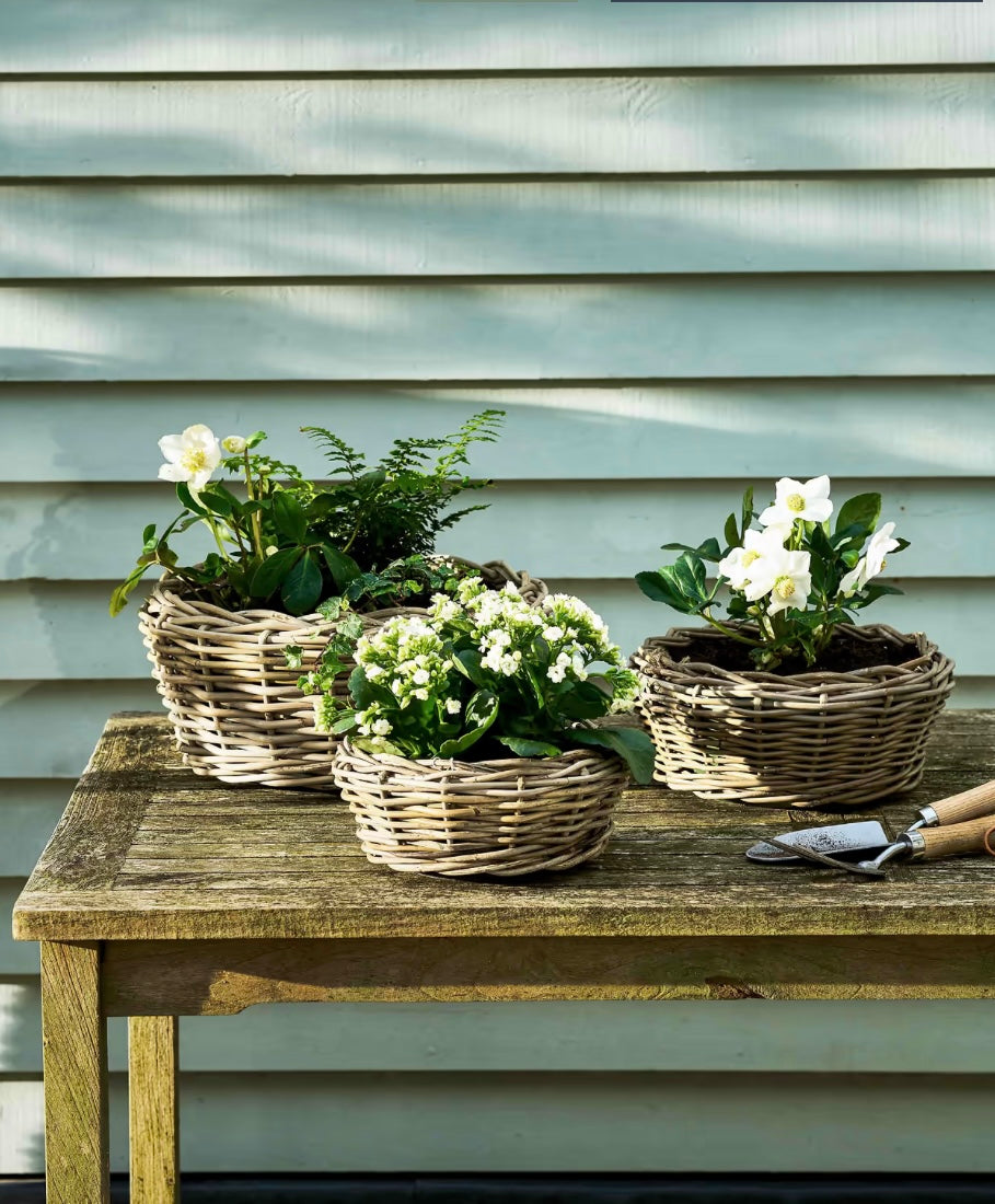 Drypots in Rattan